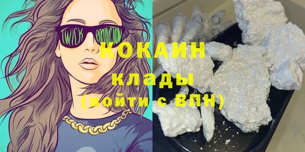 гидра Инсар