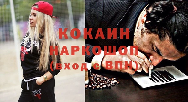 гидра Инсар